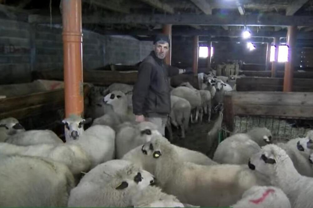 Pomoć od države u nekoliko sekundi: Deli vas samo 1 klik od novca Ministarstva poljoprivrede Srbije!