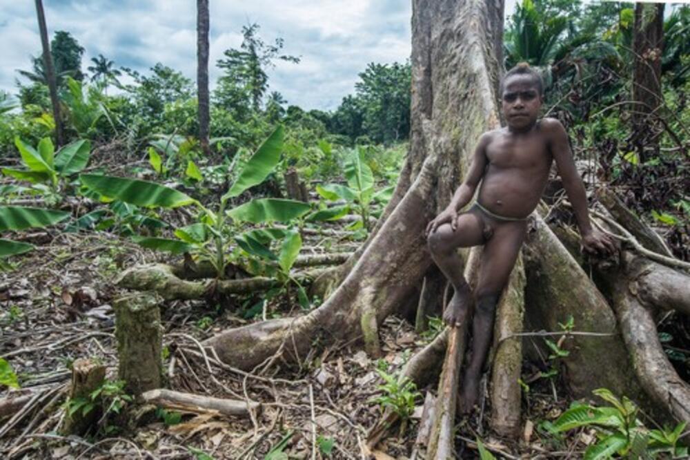 OVO SU NIKAD VIĐENI SNIMCI MISTERIOZNOG PLEMENA KOJI ŽIVI BEZ DODIRA SA OSTATKOM SVETA! Čim su ugledali kameru...