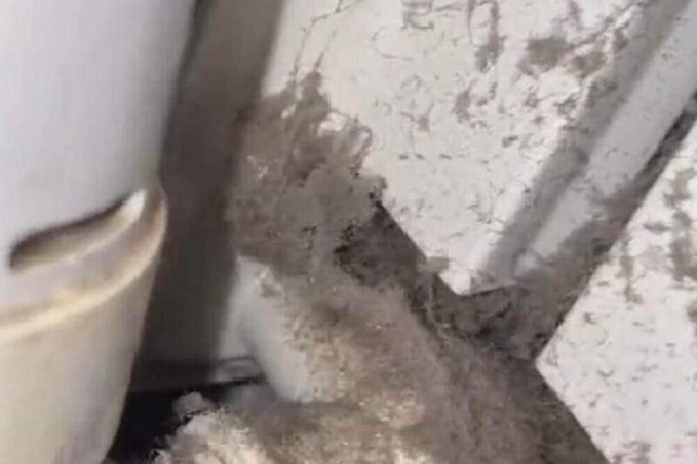 STRUČNJACI OTKRILI KOJI JE NAJLAKŠI NAČIN DA OČISTITE RADIJATOR PUN PRAŠINE: Evo zašto je to neophodno (VIDEO)