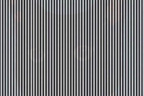 POGLEDAJTE ILUZIJU I PROBAJTE DA UOČITE ŽIVOTINJU KOJA SE KRIJE IZA: Samo GENIJALCI će to otkriiti za 15 sekundi