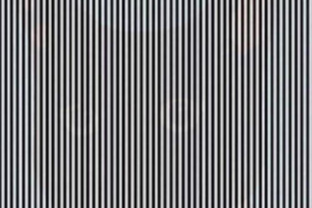 POGLEDAJTE ILUZIJU I PROBAJTE DA UOČITE ŽIVOTINJU KOJA SE KRIJE IZA: Samo GENIJALCI će to otkriiti za 15 sekundi