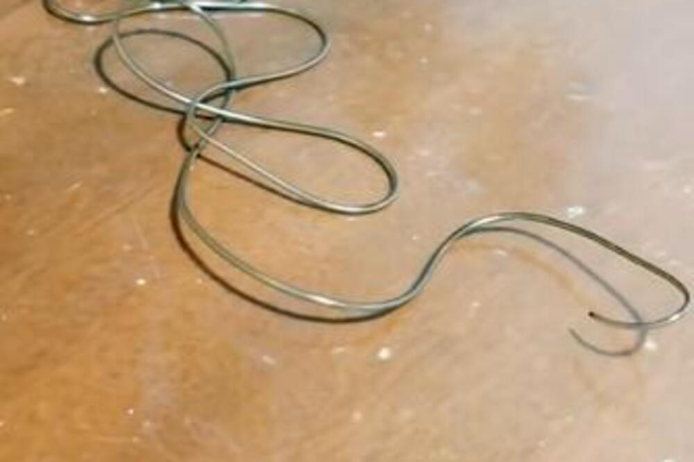 BILI SU UBEĐENI DA SE ŽICA POMERA NA PODU, KAD SU SE PRIBLIŽILI SLEDILI SE: Ono što je USTVARI BILO je NE DAJ BOŽE