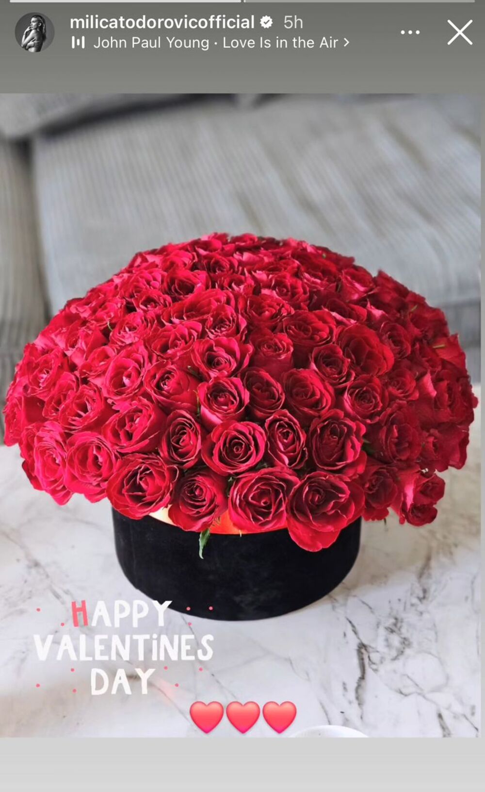 Objava Milice Todorović