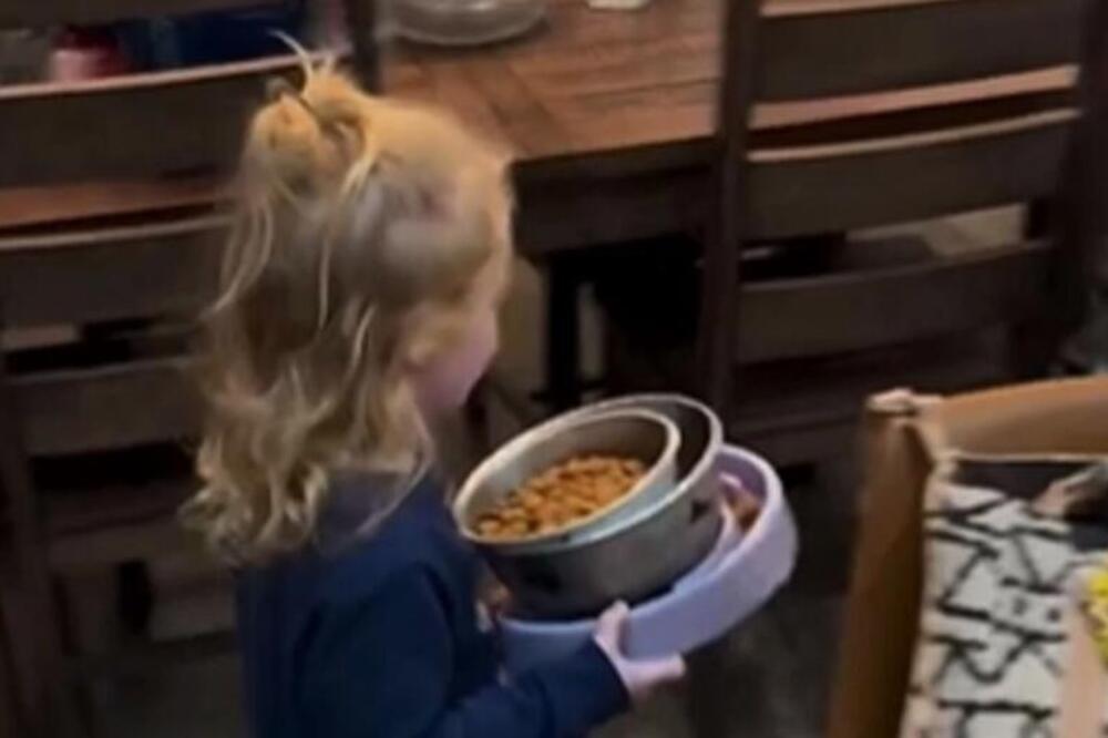 DEVOJČICA ODNELA HRANU PSIMA KAKO BI IH NAHRANILA: Zbog onoga što su LJUBIMCI URADILI ljudi ne mogu da se SABERU