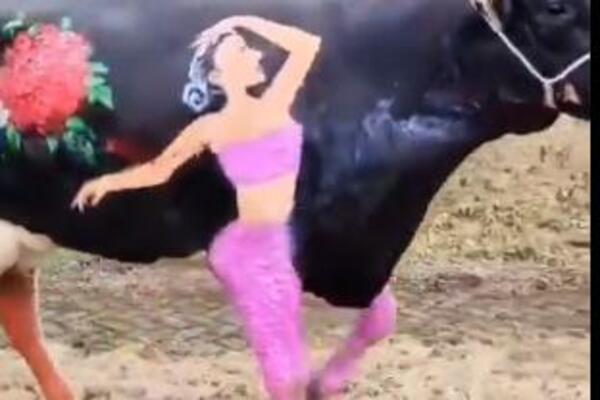 MOTAJTE KABLOVE, OVO JE NAJLUĐI POKLON ZA DAN ZALJUBLJENIH IKADA: Umrećete od SMEHA, čovek MRTAV HLADAN ŠETA...