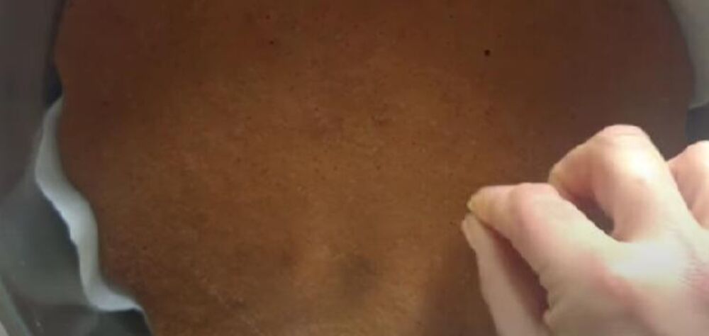 Kora za 'Parenu tortu'