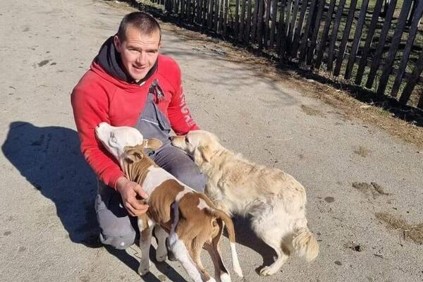 U SRBIJI OVO DO SADA NIJE VIĐENO: Rodio se SREĆKO, tele nedonošče - malo veći OD PSA, domaćinu SVI ČESTITAJU (FOTO)