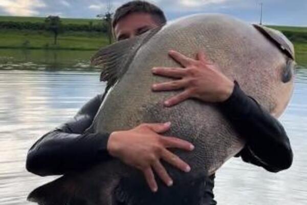 RIBAR UZEO DŽINOVSKO STVORENJE U NARUČJE, KAD SU GA BOLJE VIDELI SKAMENILI SE: Nije im bilo dobro kad se DESILO OVO