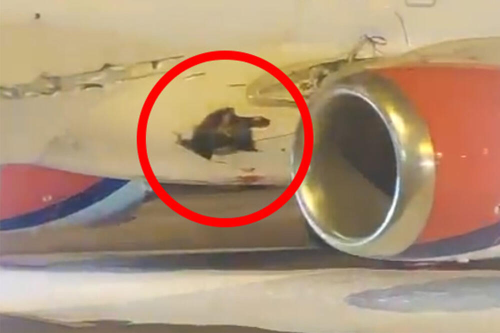 ER SRBIJA PREKIDA SARADNJU SA MARATON ERLAJNZOM NAKON INCIDENTA NA PISTI: Ovo je njihovo saopštenje