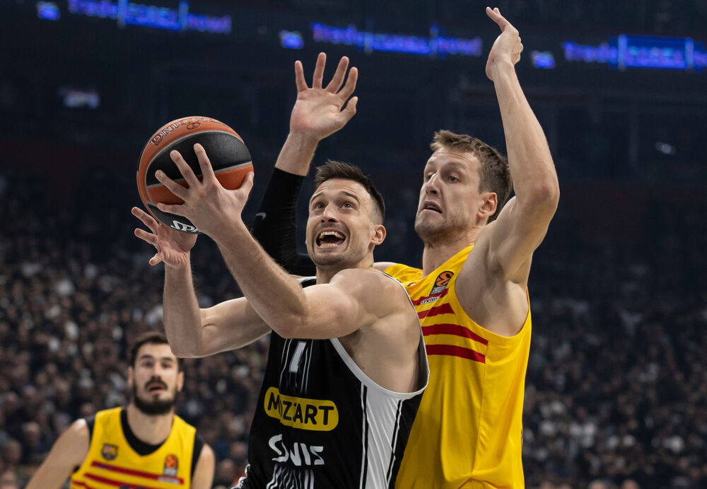 Duel Avramovića i Veselog