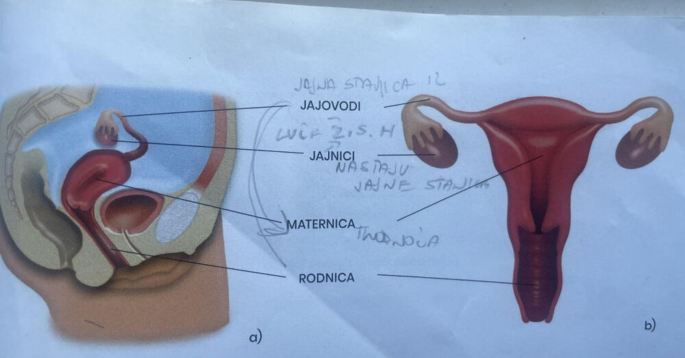 Udžbenik iz prirode, Udžbenik