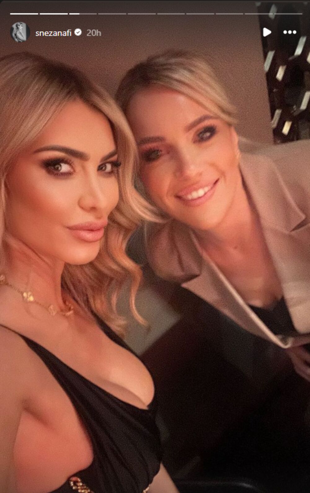 Snežana Borjan u provodu