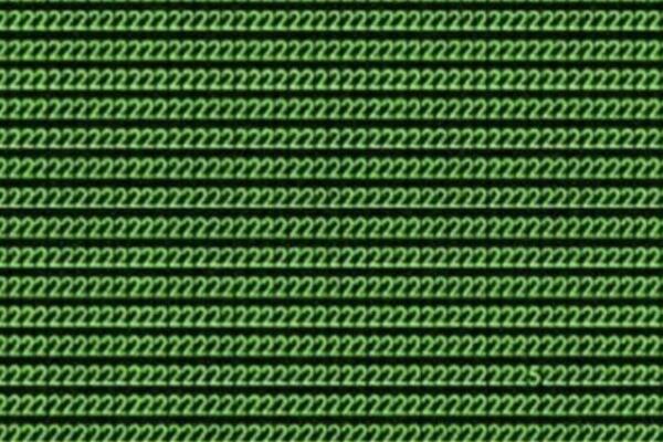 OPTIČKA ILUZIJA KOJU SAMO GENIJALCI MOGU ODMAH DA REŠE: Samo najpametniji mogu za 10 sekundi da nađu broj 5(FOTO)