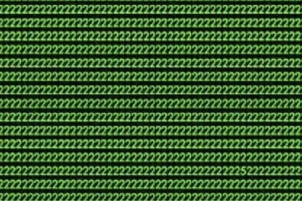 OPTIČKA ILUZIJA KOJU SAMO GENIJALCI MOGU ODMAH DA REŠE: Samo najpametniji mogu za 10 sekundi da nađu broj 5(FOTO)