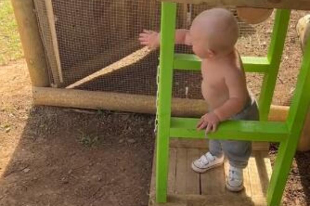 TATA NAPRAVIO SINU SPECIJALAN LIFT: Reakcija mališana će vas OBORITI S NOGU! Ima li ŠTA LEPŠE? (VIDEO)