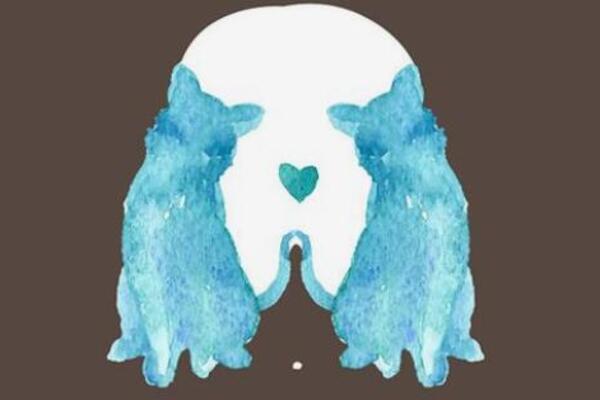 JESTE LI PREDODREĐENI ZA LJUBAV ILI SAMOĆU? Optička iluzija koja će vam OTVORITI OČI