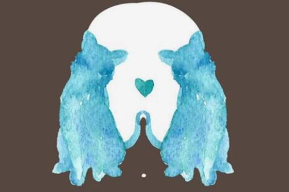 JESTE LI PREDODREĐENI ZA LJUBAV ILI SAMOĆU? Optička iluzija koja će vam OTVORITI OČI