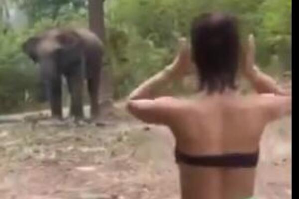 DEVOJKA U GRUDNJAKU PRIŠLA SLONU, A NIJE SLUTILA KAKO ĆE ODREAGOVATI: Zbog onog što je uradio SURLOM odmah POBEGLA