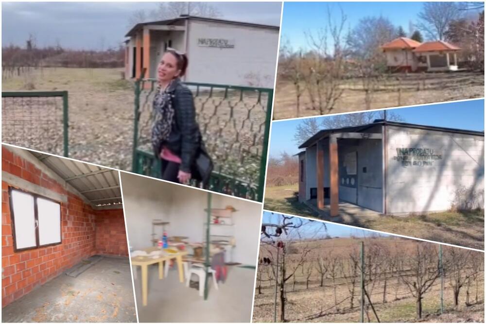 PRODAJE SE KUĆA SA PLACOM OD 24 ARA SA RAZNOVRSNIM VOĆNJAKOM I HLADNJAČOM, CENA PRAVA SITNICA: Potrebno je samo OVO