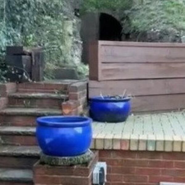 SREĐIVALI SU DVORIŠTE I ISPOD JEDNE ČUDNE PLOČICE PRONAŠLI OVO: Kada su videli ZANEMELI SU OD ŠOKA (VIDEO)