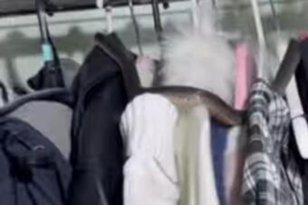 OTVORILI ORMAN, PA SE U SEKUNDI ZALEDILI: Nalazilo se među DEČJOM ODEĆOM, od prizora im NIJE BILO DOBRO (VIDEO)