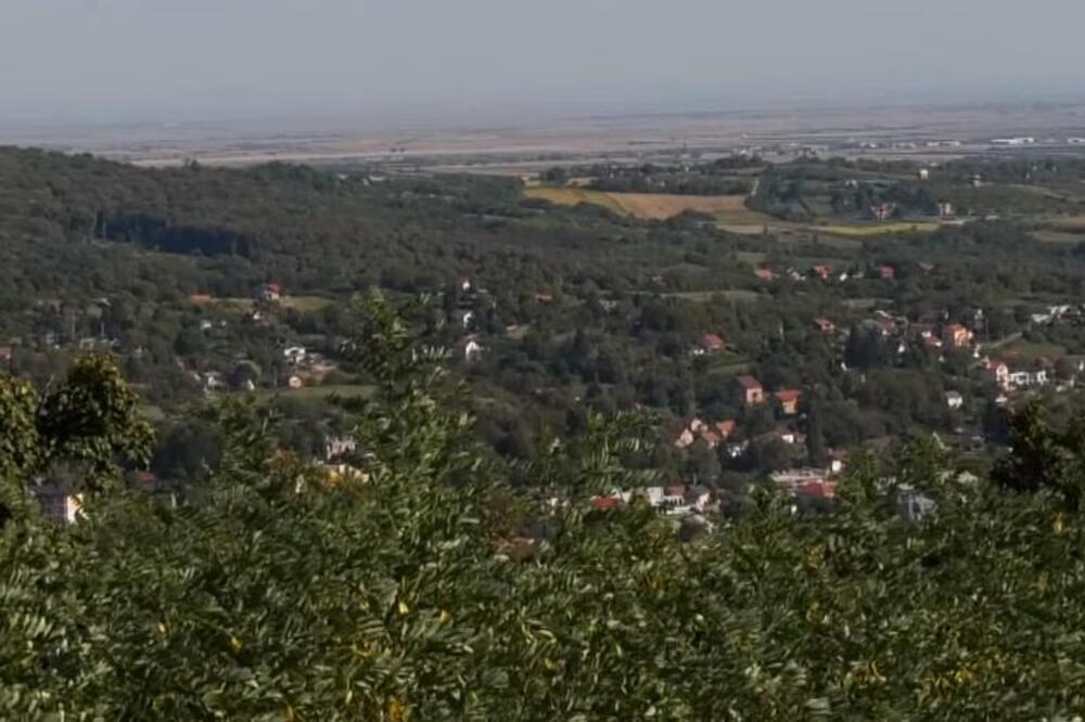 "Molimo vas, ne prilazite i ne uznemiravajte ga" Hitno upozorenje stiglo sa Fruške Gore (FOTO)