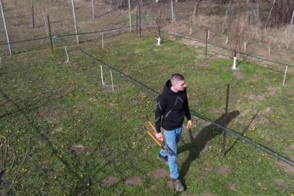 "RAD NA SELU OBEĆAVA, NEMA BRZIH PARA": Nikola ima samo 20 godina, a već ima VOĆNJAK i VAŽNU PORUKU za MLADE!