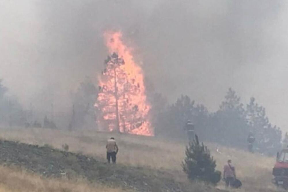 GORI BRDO KOD PRIBOJSKE BANJE: Ogromna vatra zahvatila rastinje