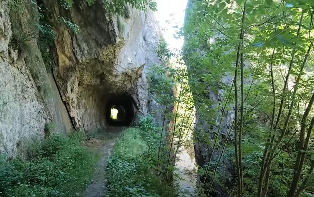 Zelenilo u Zvonačkoj banji