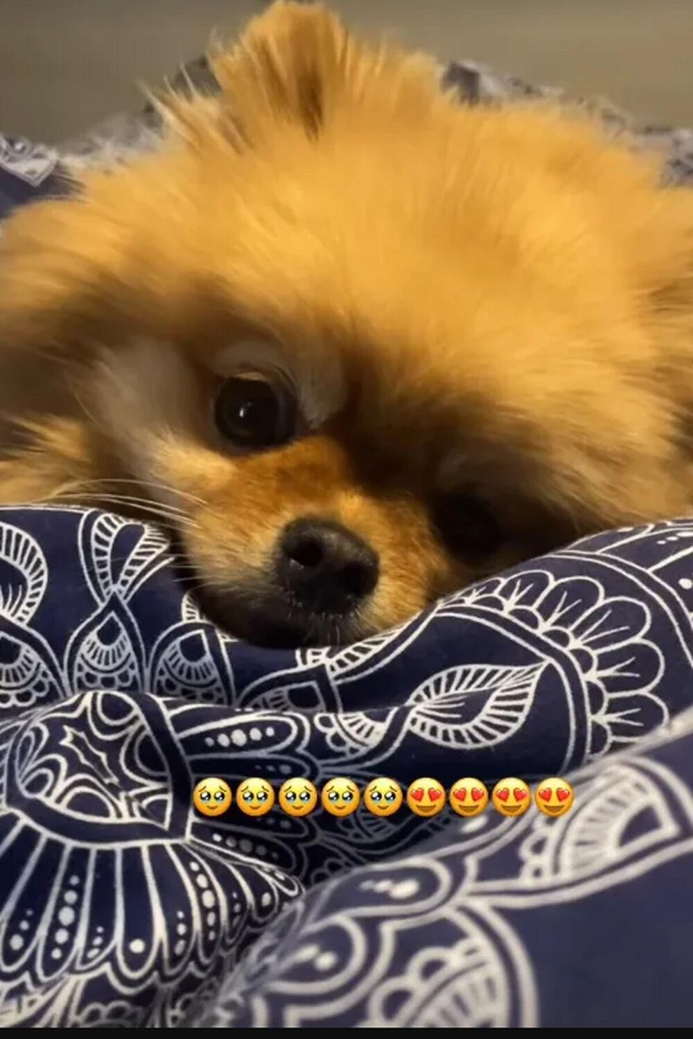 Nina Đogani pokazala kako provodi dane nakon udesa