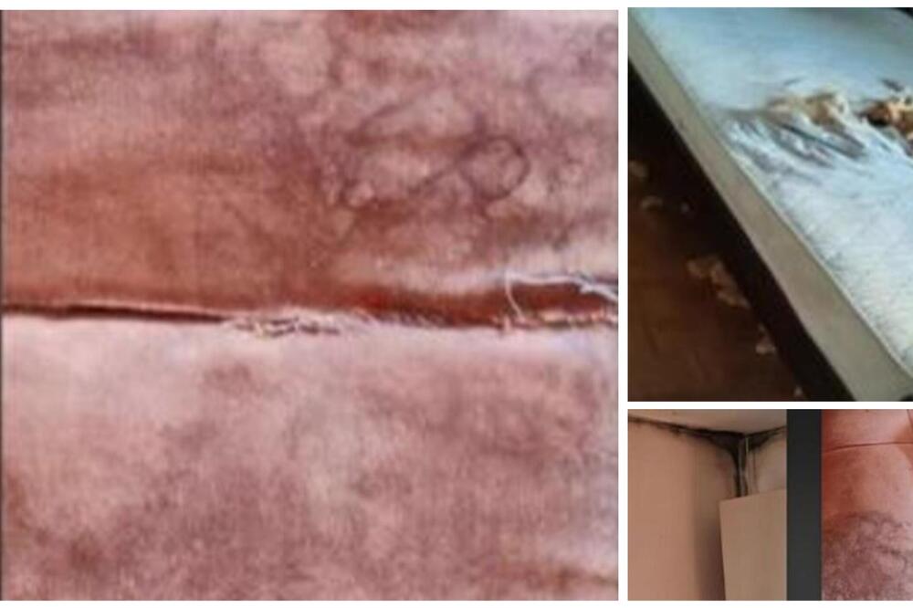 "CRNI ZIDOVI, GARNITURA IZGRIŽENA, DUŠEK URNISAN": Beograđanka snimila UNIŠTEN STAN nakon odlaska porodice (FOTO)