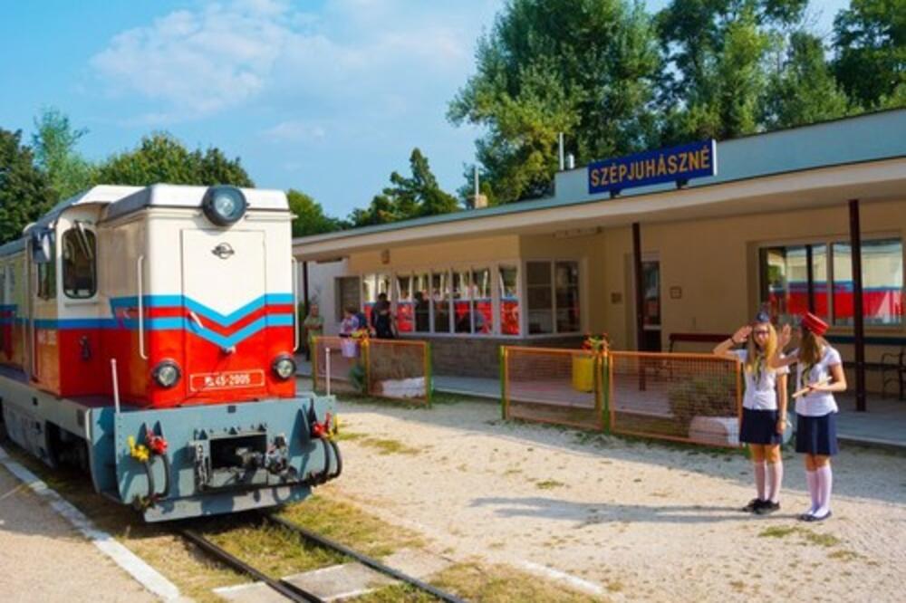 OVAKAV VOZ POSTOJI SAMO U MAĐARSKOJ! Stvoren je za izlete predivnim šumskim krajem, a od svih se izdvaja po JEDNOM