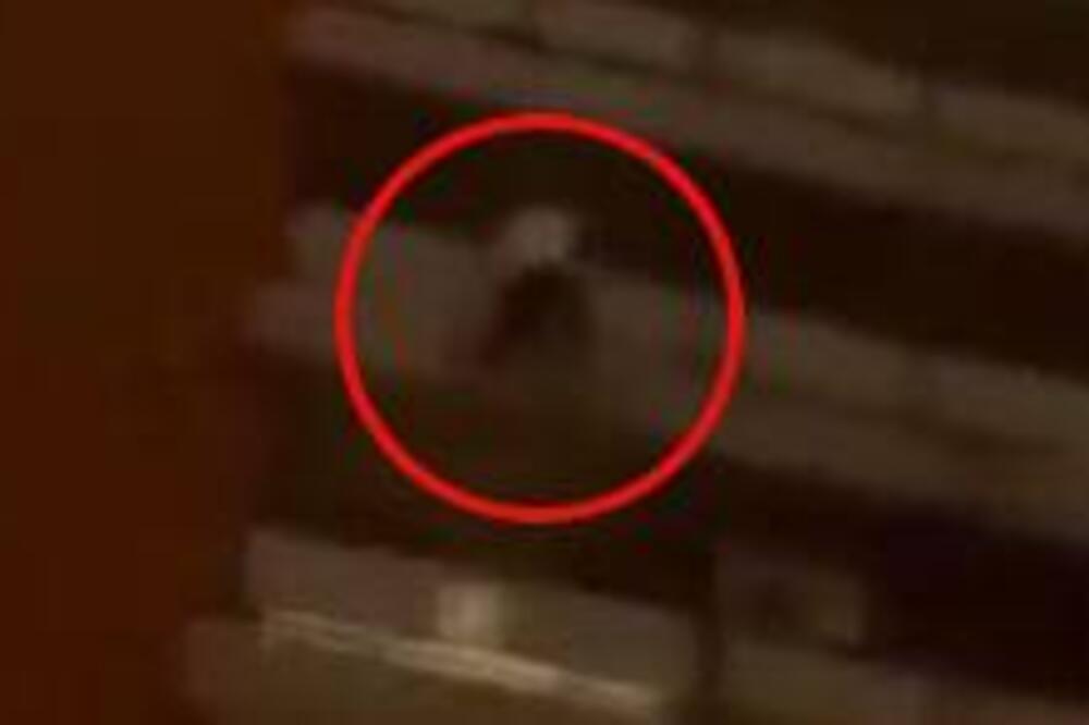 SASLUŠAN MUŠKARAC KOJI JE TERAO DEVOJKU DA SKOČE SA TERASE U BEOGRADU: Evo šta je tačno rekao