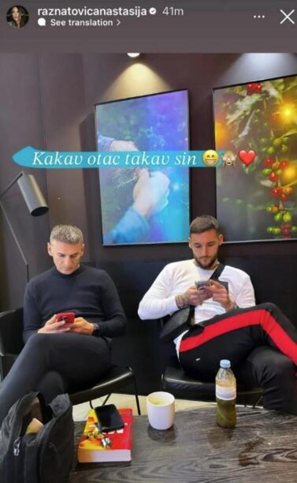 Zgodni svekar Anastasija Ražnatović