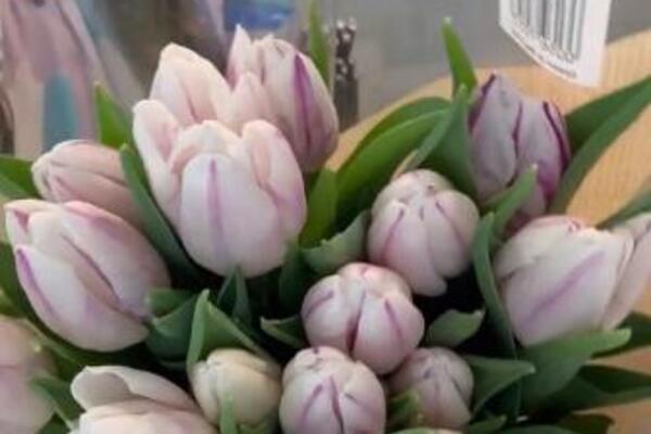 CVEĆARKA PODELILA SUPER CAKE KAKO DA CVEĆE NEDELJAMA OSTANE SVEŽE: U vazu stavite OVAU STVAR i biće kao tek ubrano