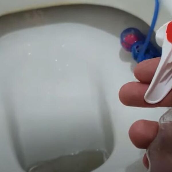 30 dinara i gotovo: Pospite ovo u WC šolju i kamenac nestaje kao da ga nikad nije bilo