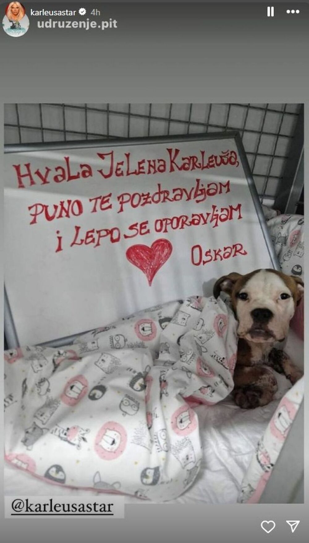 Zahvalili su se Jeleni Karleuši na pomoći