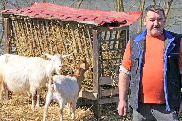 SAUDIN ČUVA KOZE I SAM JE SVOJ GAZDA: Prošle godine mu se desila tragedija, ali on ne odustaje od STOČARSTVA