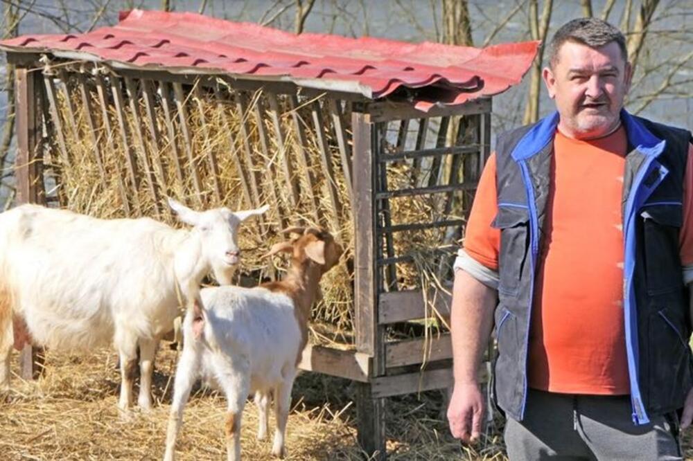 SAUDIN ČUVA KOZE I SAM JE SVOJ GAZDA: Prošle godine mu se desila tragedija, ali on ne odustaje od STOČARSTVA