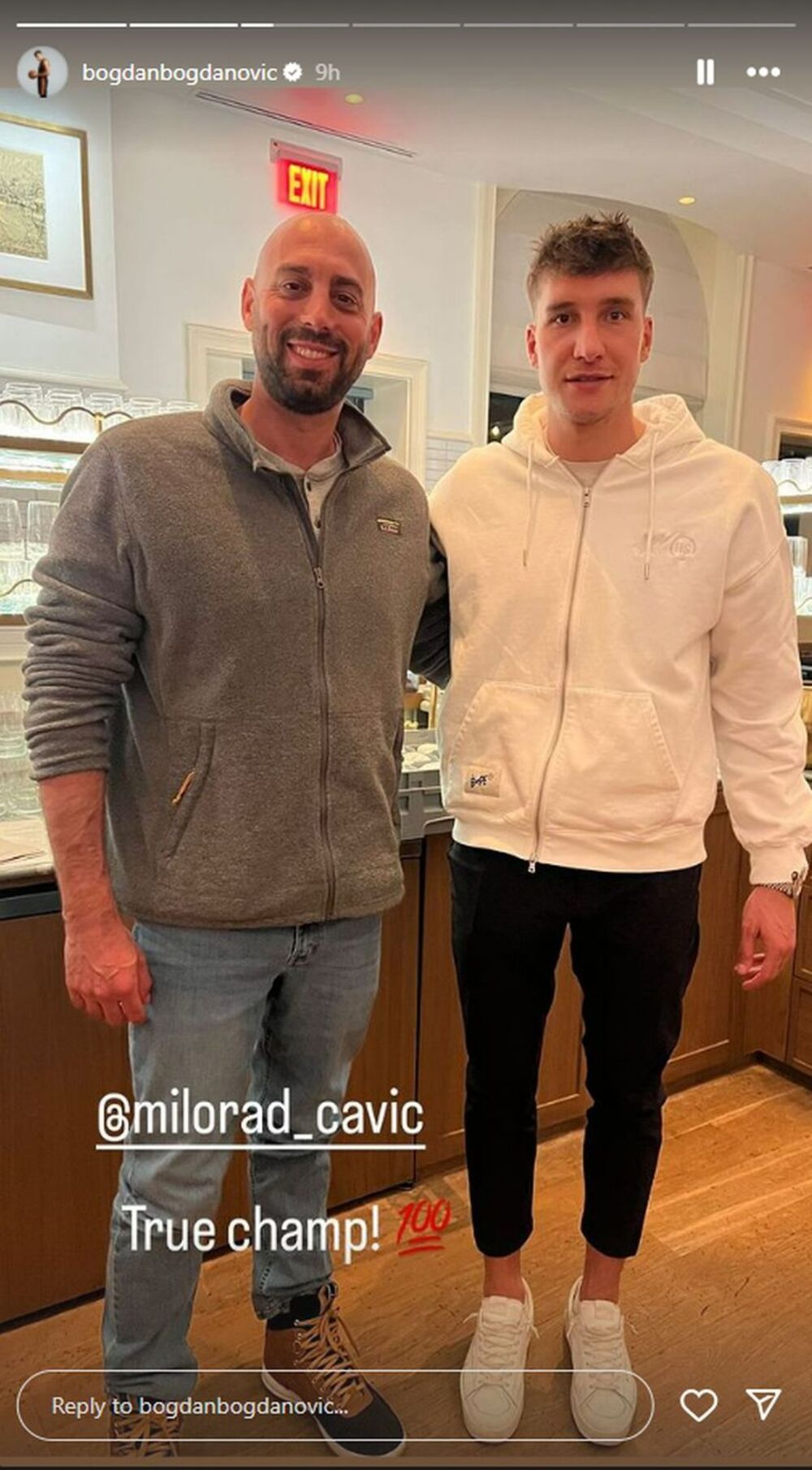 Bogdan Bogdanović i Milorad Čavić