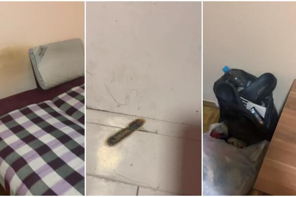BUĐ, SLOMLJENI KREVETI, UNIŠTENO KUPATILO: Ivanu dočekao horor kada je ušla u stan posle "stanara iz pakla"! VIDEO
