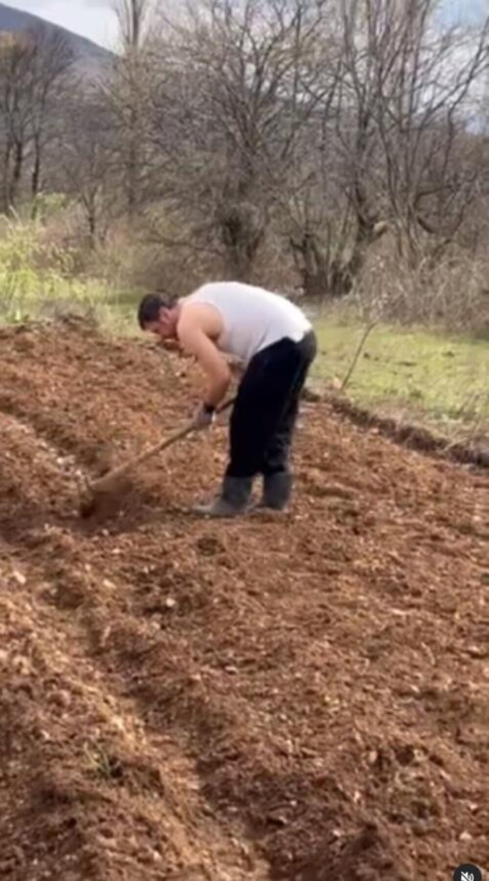 Bogdan je ispod svoje objave dobio pregršt pohvala