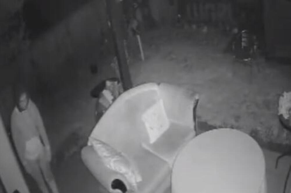 LOPOVI U BEOGRADU SVE SPRETNIJI: Njihove taktike su ZAPANJUJUĆE, zato je samo JEDAN NAČIN da se ZAŠTITITE