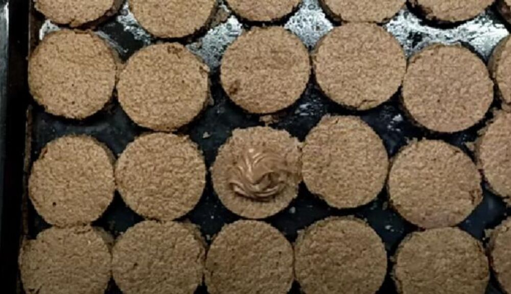 Filovanje turskog kolača 'padišahov'