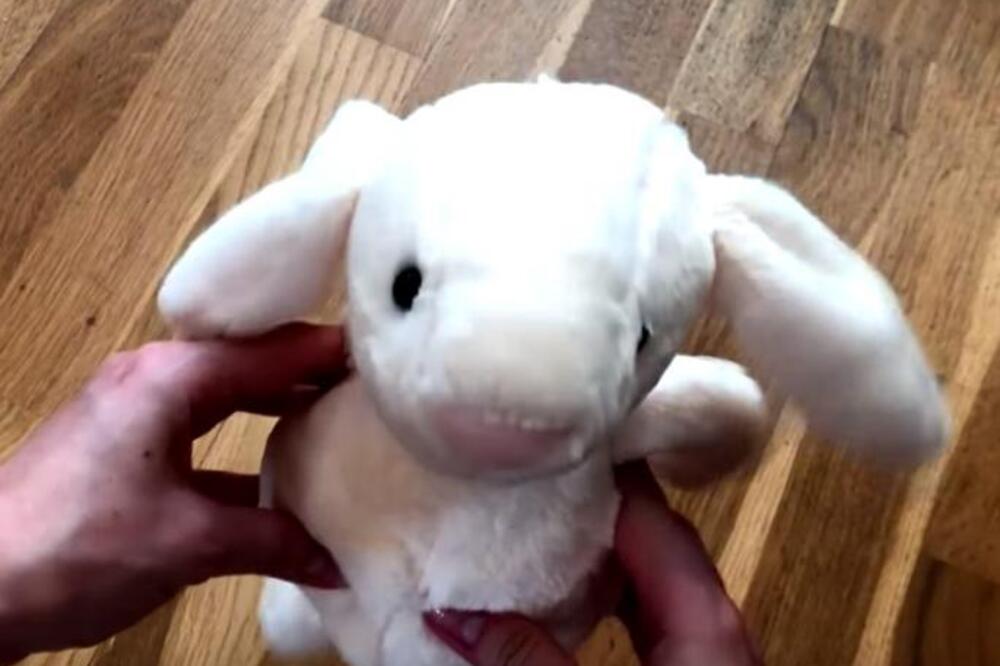 KUPILA JE PLIŠANOG ZECA I DONELA GA KUĆI: Nešto je napipala unutra, a kad ga je otvorila, ŠOKIRALA SE U MESTU