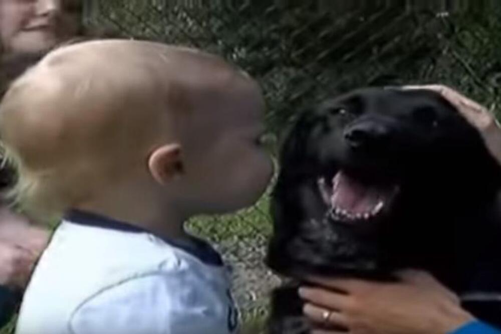 PAS JE POČEO ČUDNO DA SE PONAŠA U BLIZINI BEBE, RODITELJI POSTAVILI TELEFON KOJI SNIMA: Sledili se kad su ga čuli