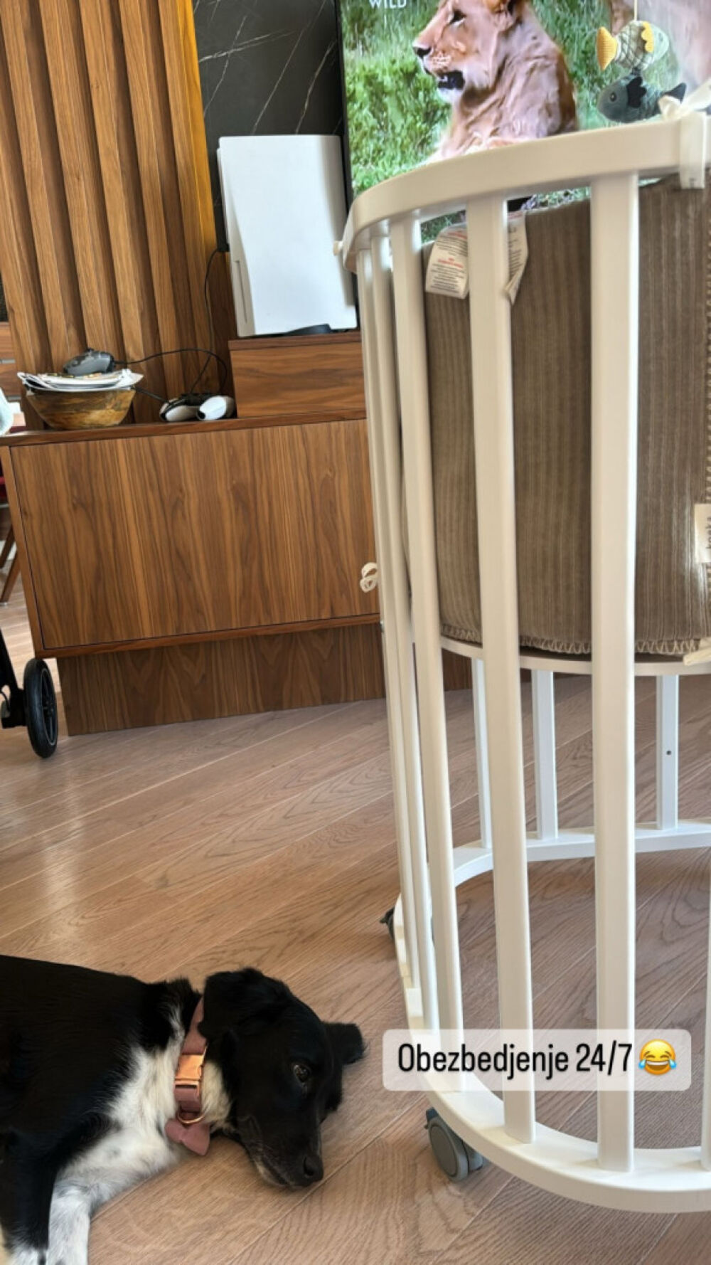 Pas čuvar je uvek sa njima