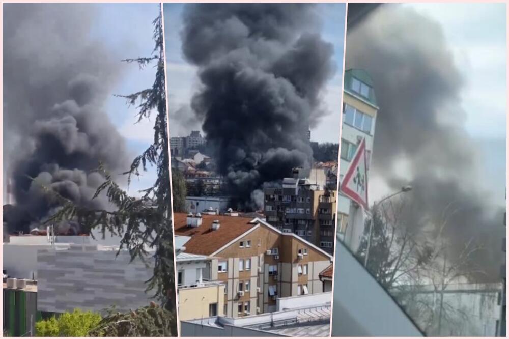 SPREČENO ŠIRENJE VELIKOG POŽARA NA ZVEZDARI: Intervencija još uvek u toku