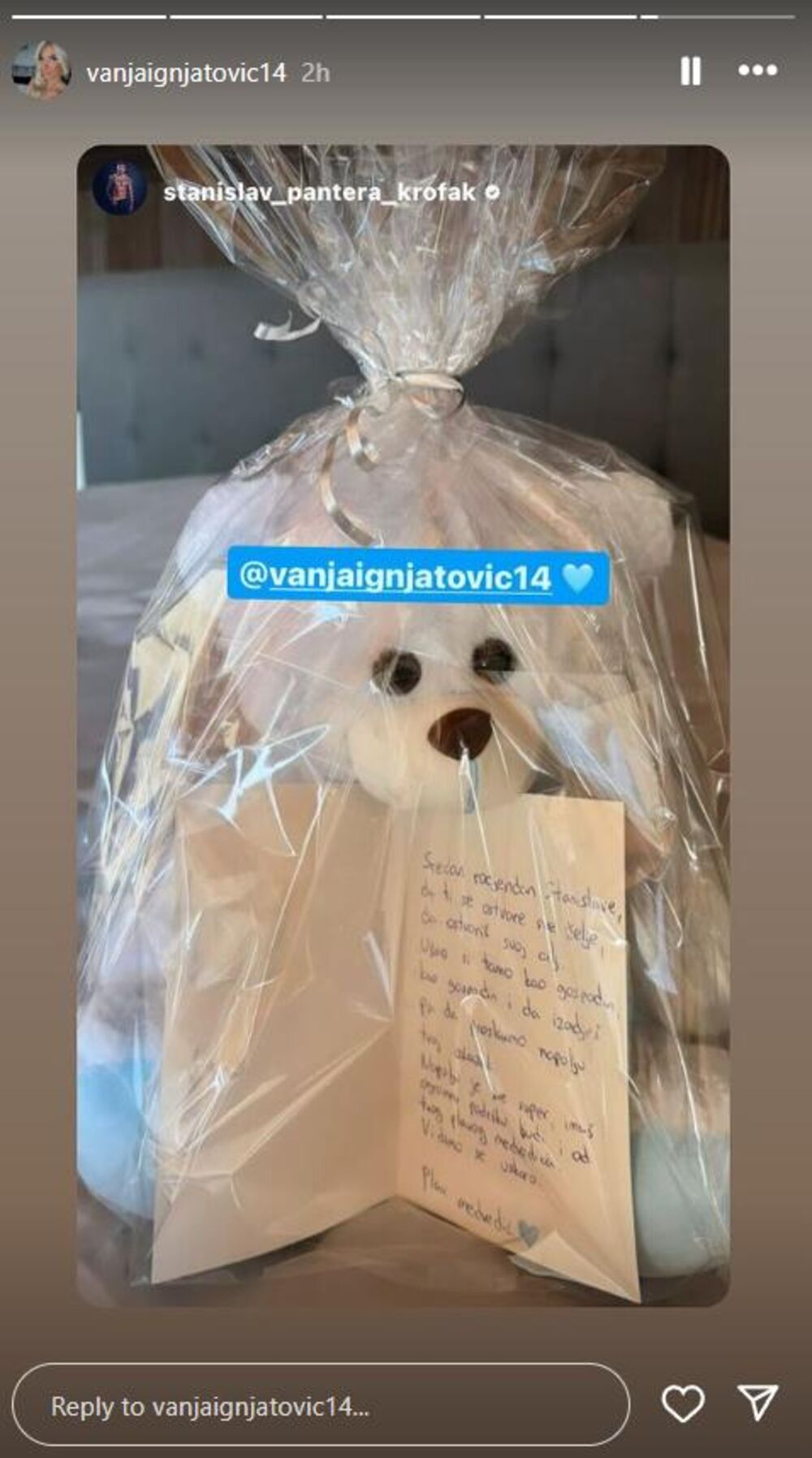 Medvedić kojeg je Vanja poslala Stanislavu