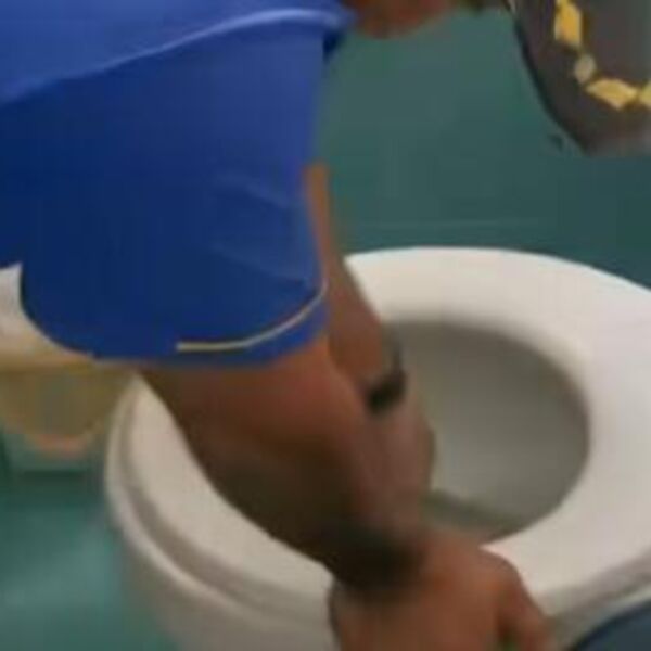 Ovo svi imaju u kući, a košta 30 dinara: Pospite u WC šolju i rešite se kamenca za tili čas